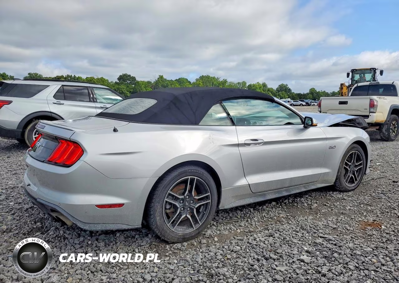 2019 Ford Mustang Gt VIN:1FATP8FF0K5138362 - 3