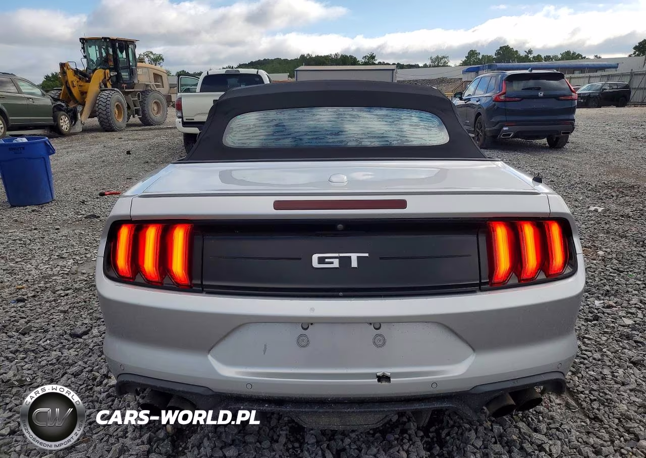 2019 Ford Mustang Gt VIN:1FATP8FF0K5138362 - 6