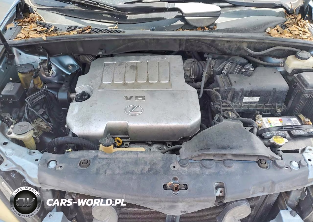 2009 Lexus Rx 350 VIN:2T2HK31U49C106918 - 11