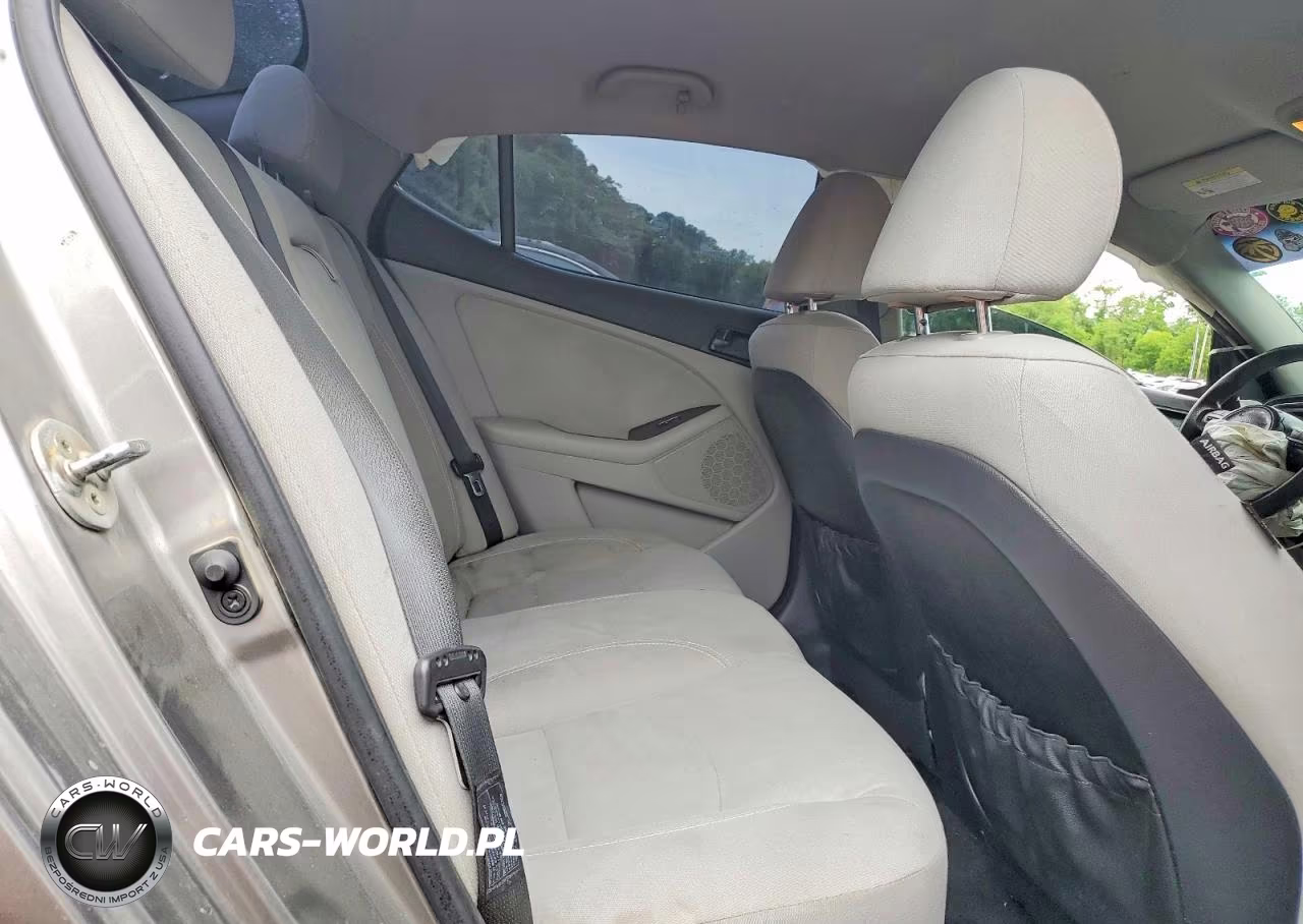 2014 Kia Optima Lx VIN:5XXGM4A79EG314080 - 10