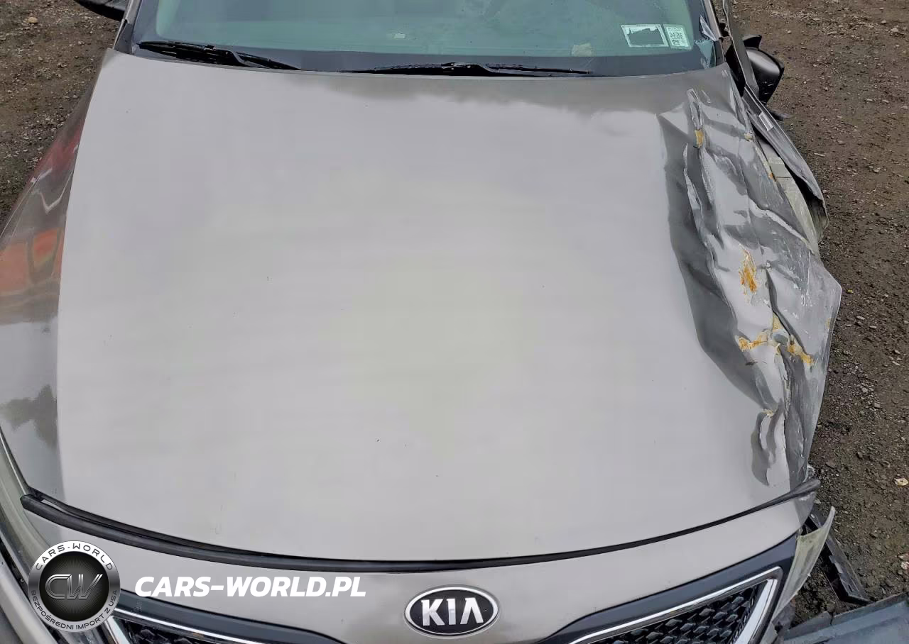 2014 Kia Optima Lx VIN:5XXGM4A79EG314080 - 11