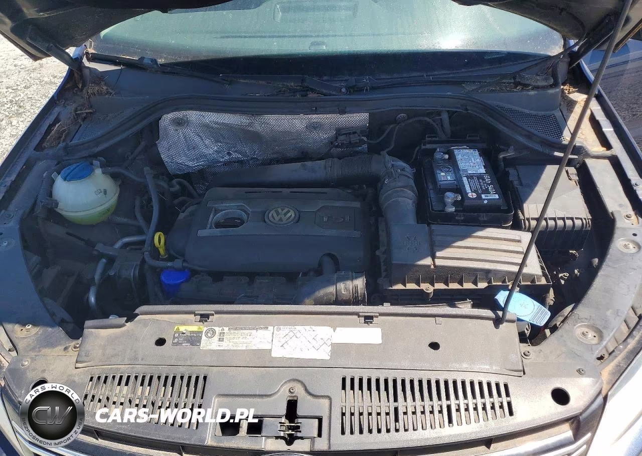 2015 Volkswagen Tiguan S VIN:WVGAV7AX3FW510743 - 12