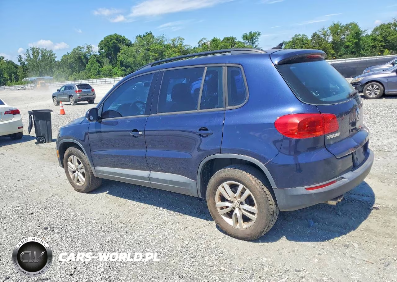 2015 Volkswagen Tiguan S VIN:WVGAV7AX3FW510743 - 2
