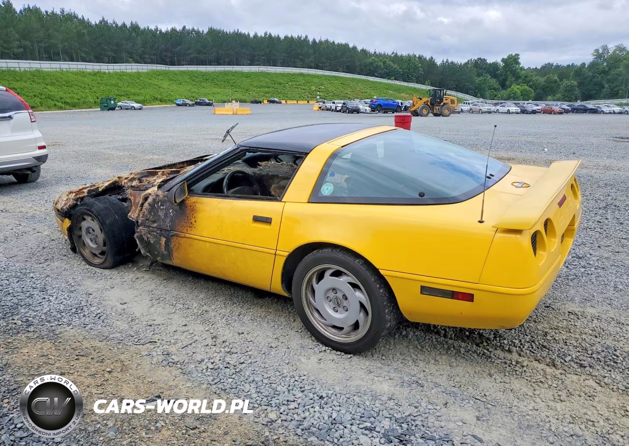 1992 Chevrolet Corvette VIN:1G1YY23P1N5100160 - 2