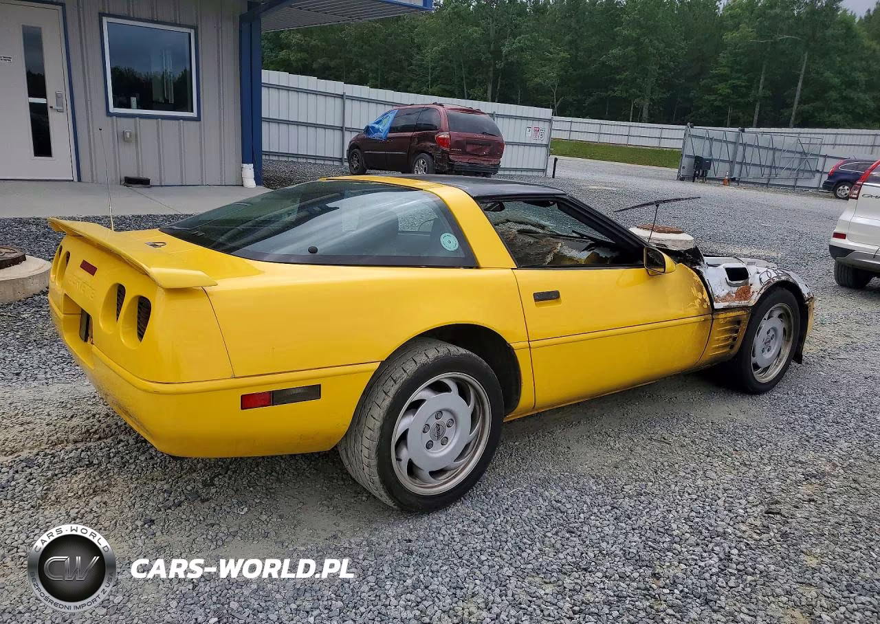 1992 Chevrolet Corvette VIN:1G1YY23P1N5100160 - 3