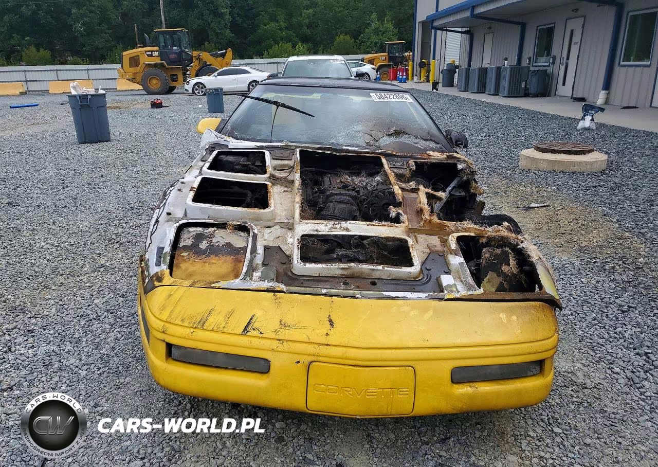 1992 Chevrolet Corvette VIN:1G1YY23P1N5100160 - 5