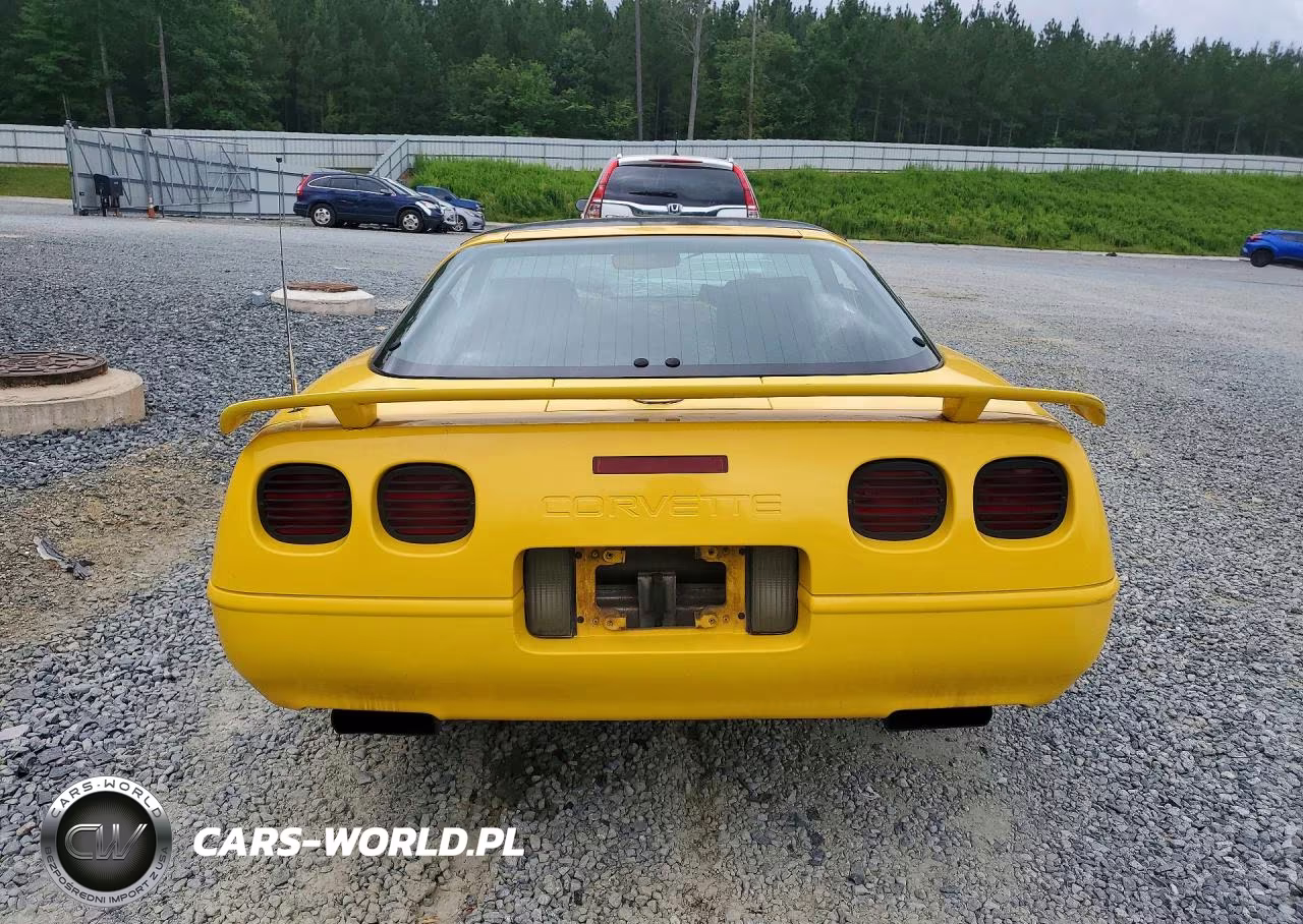 1992 Chevrolet Corvette VIN:1G1YY23P1N5100160 - 6
