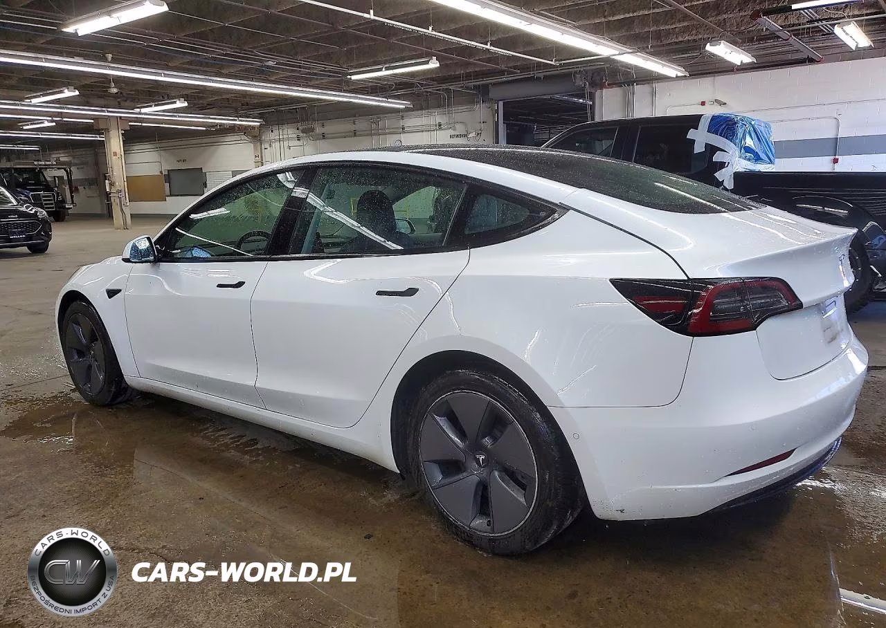 2022 Tesla Model 3 VIN:5YJ3E1EA8NF369445 - 2
