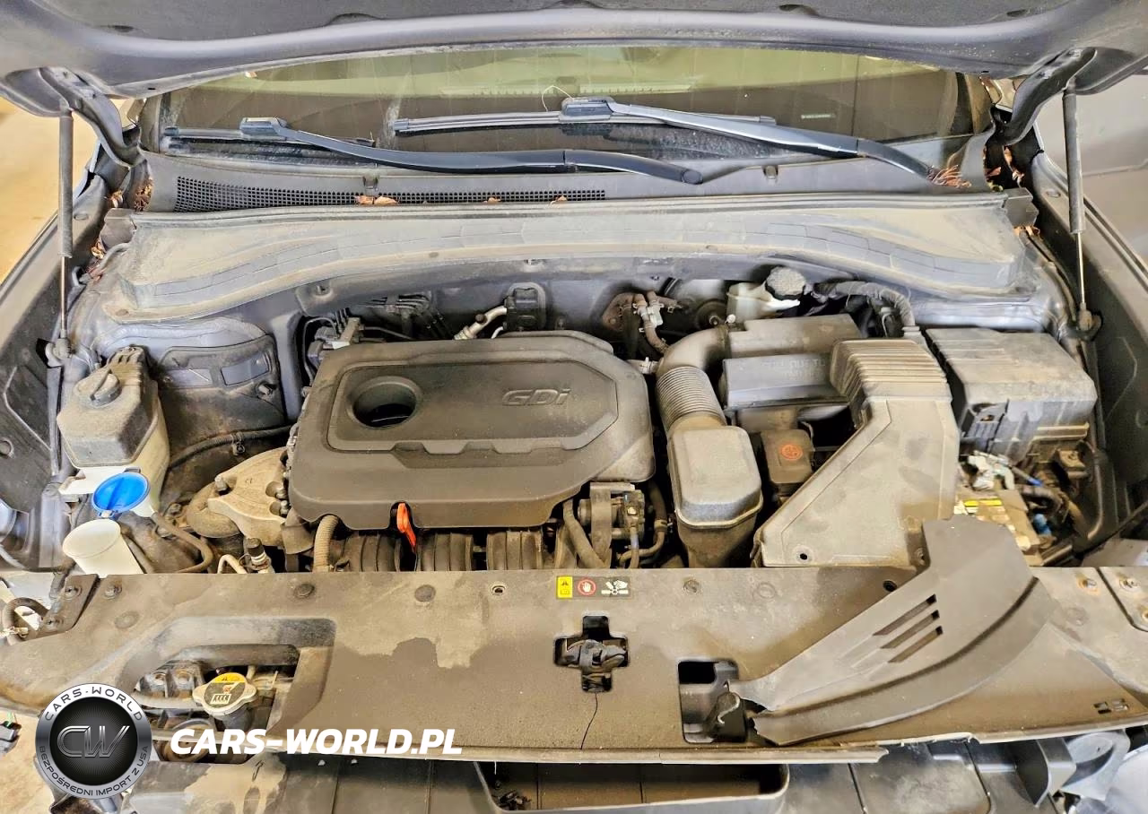 2019 Hyundai Santa Fe Se VIN:5NMS2CAD4KH034502 - 12