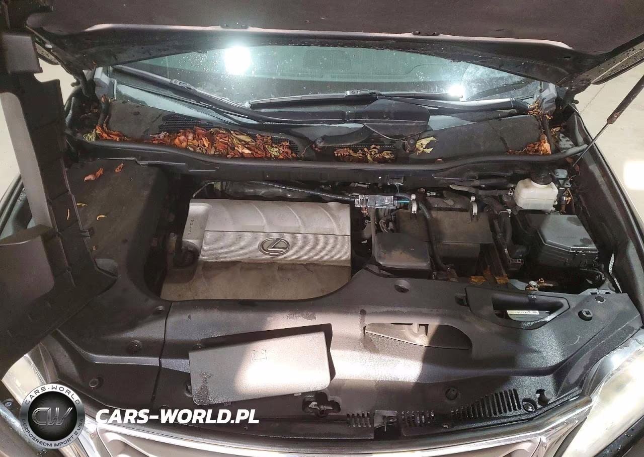 2015 Lexus Rx 350 Base VIN:2T2BK1BA2FC270047 - 12