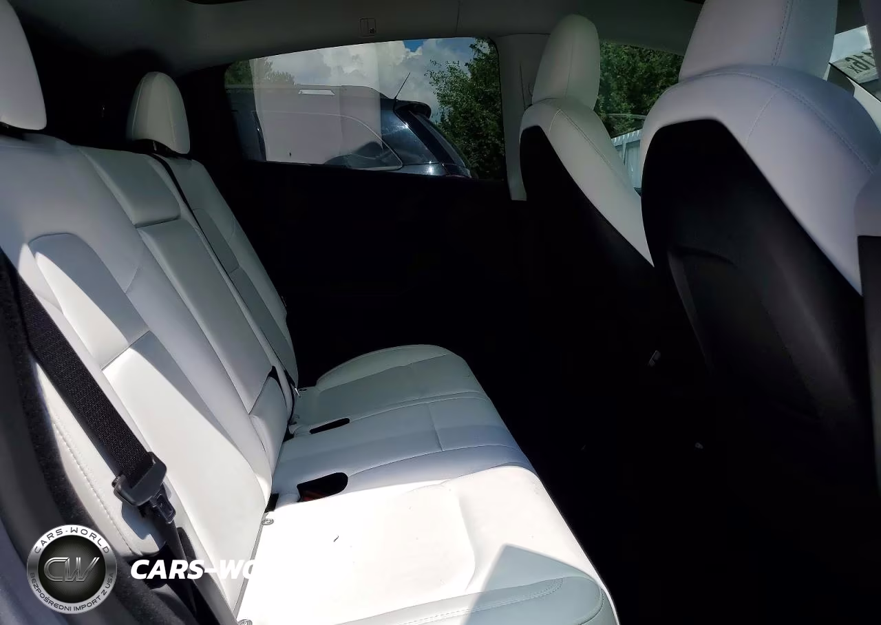 2024 Tesla Model Y VIN:7SAYGDEEXRA302520 - 10
