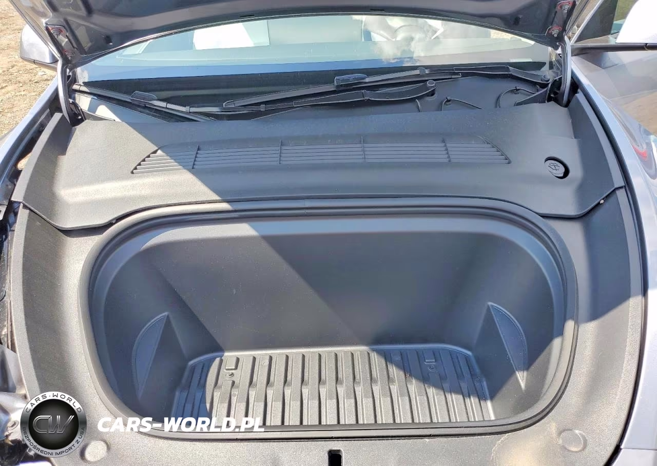 2024 Tesla Model Y VIN:7SAYGDEEXRA302520 - 11