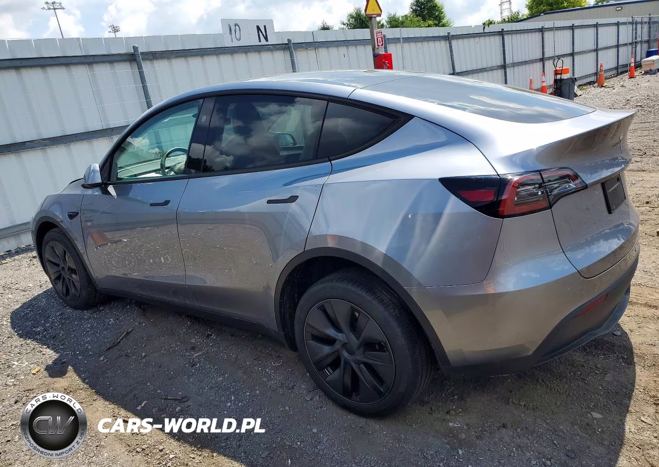 2024 Tesla Model Y VIN:7SAYGDEEXRA302520 - 2
