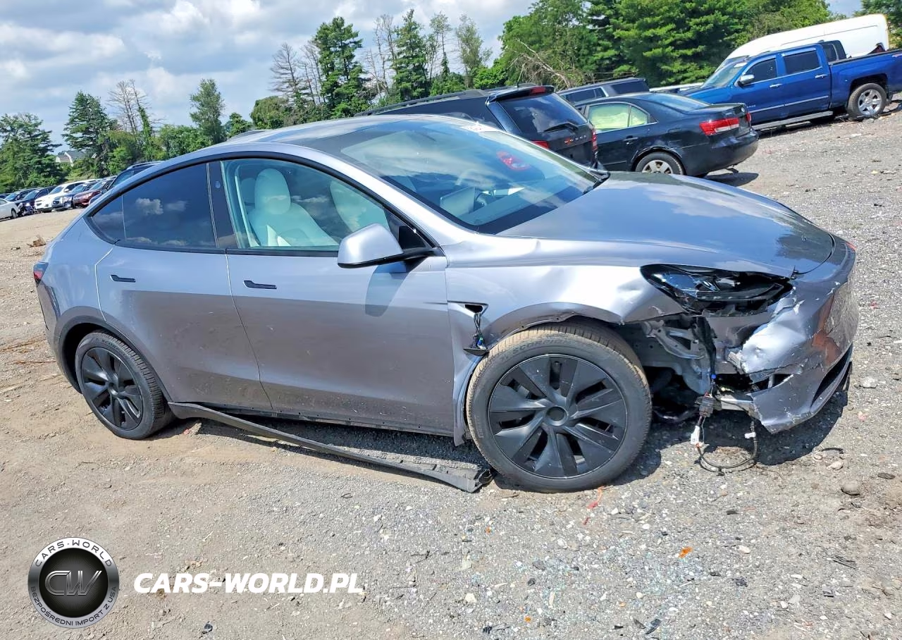 2024 Tesla Model Y VIN:7SAYGDEEXRA302520 - 4