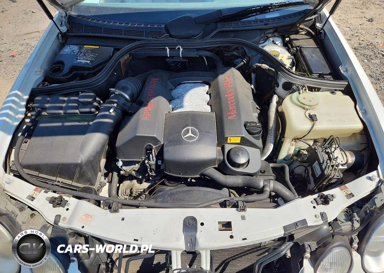 1999 Mercedes-Benz Clk 320 VIN:WDBLK65G4XT012191 - 11