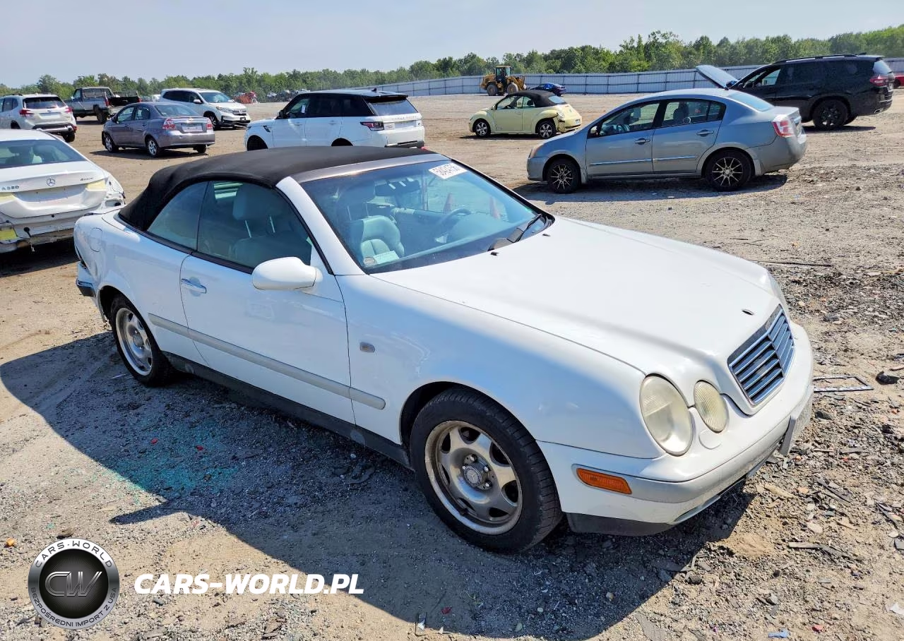 1999 Mercedes-Benz Clk 320 VIN:WDBLK65G4XT012191 - 4