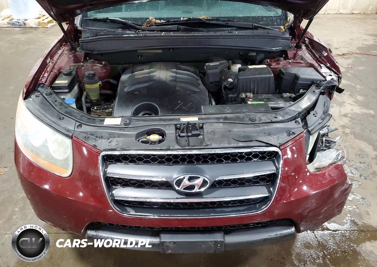 2008 Hyundai Santa Fe VIN:5NMSH73E98H190832 - 11