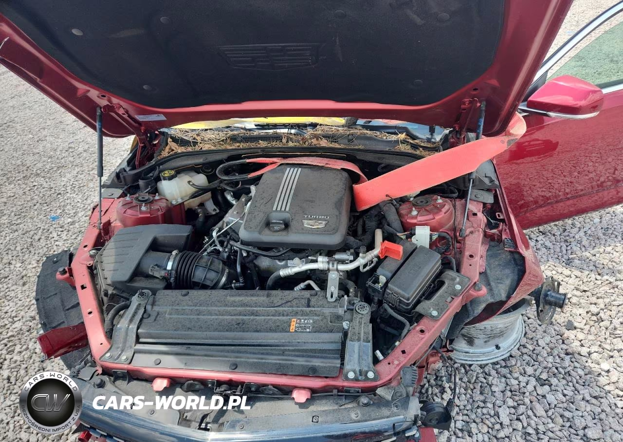 2022 Cadillac Ct4 Premium Luxury VIN:1G6DB5RK5N0119508 - 11