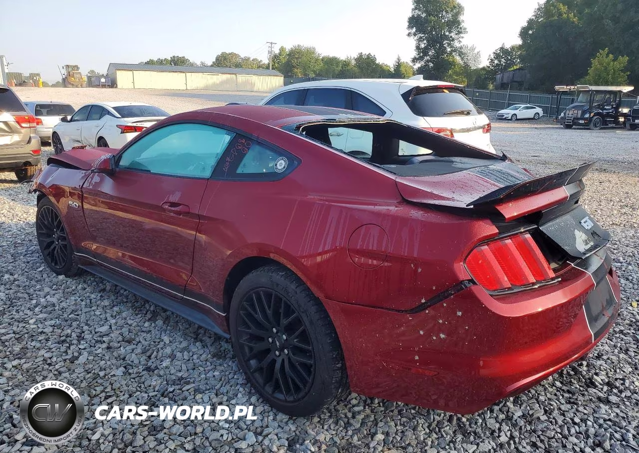2017 Ford Mustang Gt VIN:1FA6P8CF4H5202039 - 2