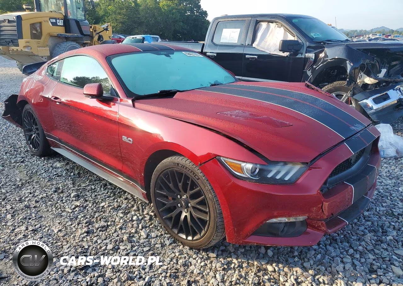 2017 Ford Mustang Gt VIN:1FA6P8CF4H5202039 - 4