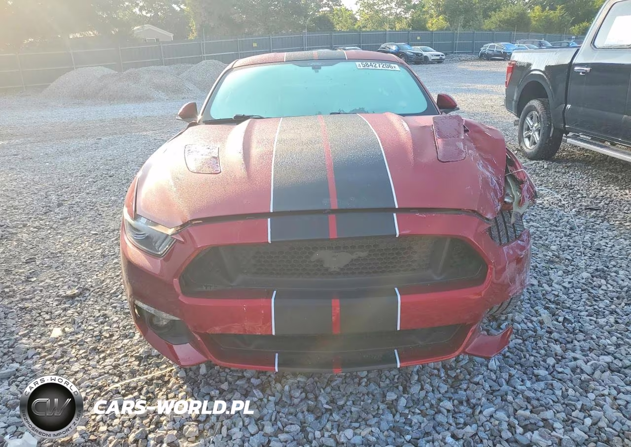 2017 Ford Mustang Gt VIN:1FA6P8CF4H5202039 - 5