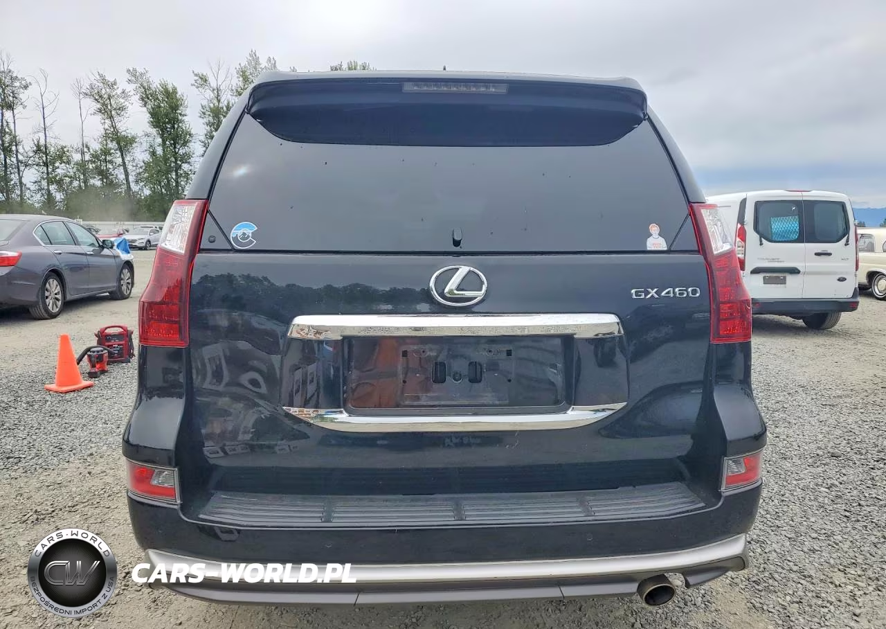 2019 Lexus Gx 460 VIN:JTJBM7FX3K5218222 - 6