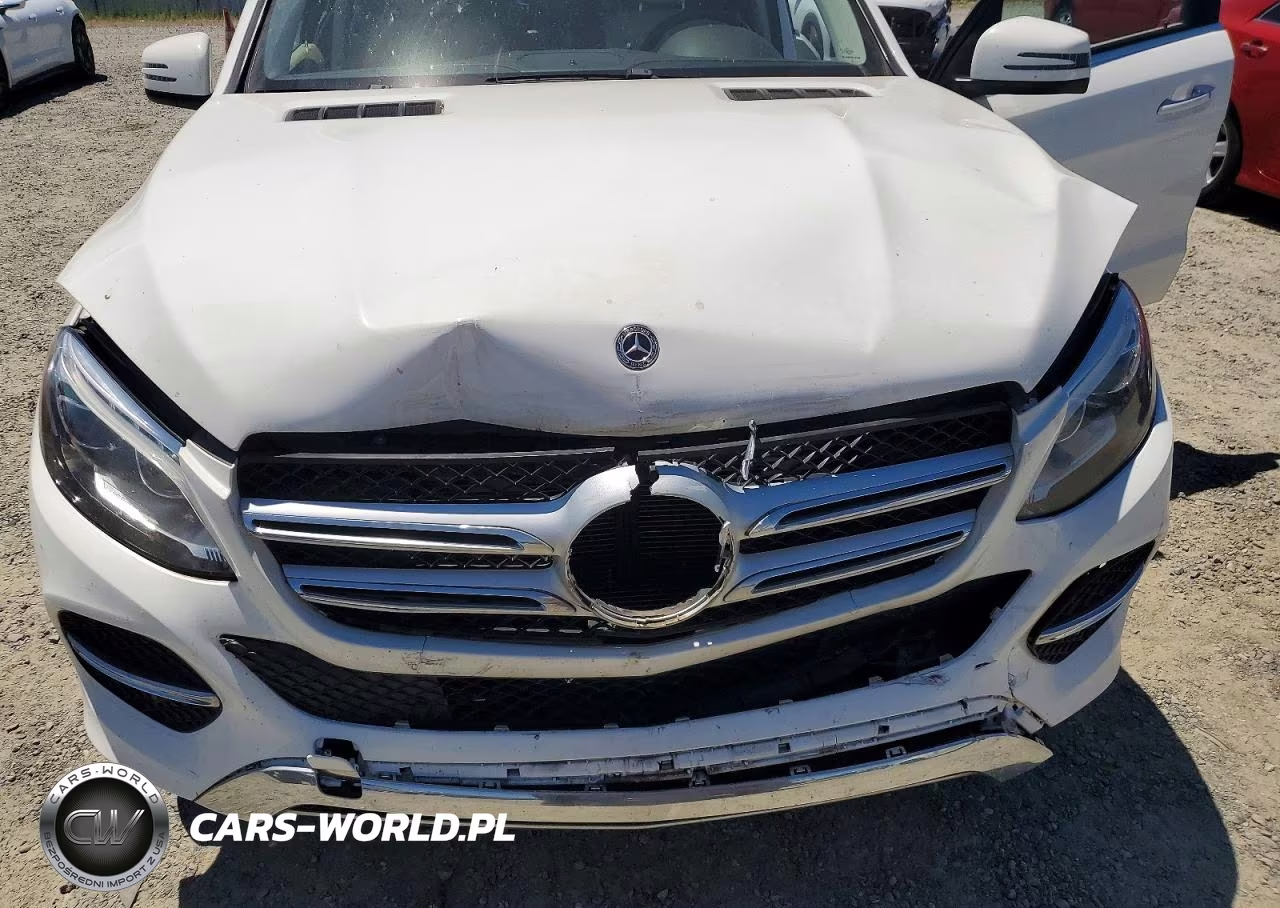 2017 Mercedes-Benz Gle 350 4Matic VIN:4JGDA5HB7HA962623 - 12