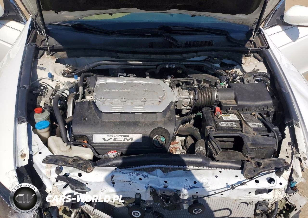 2010 Honda Accord Exl VIN:1HGCS2B89AA001747 - 11