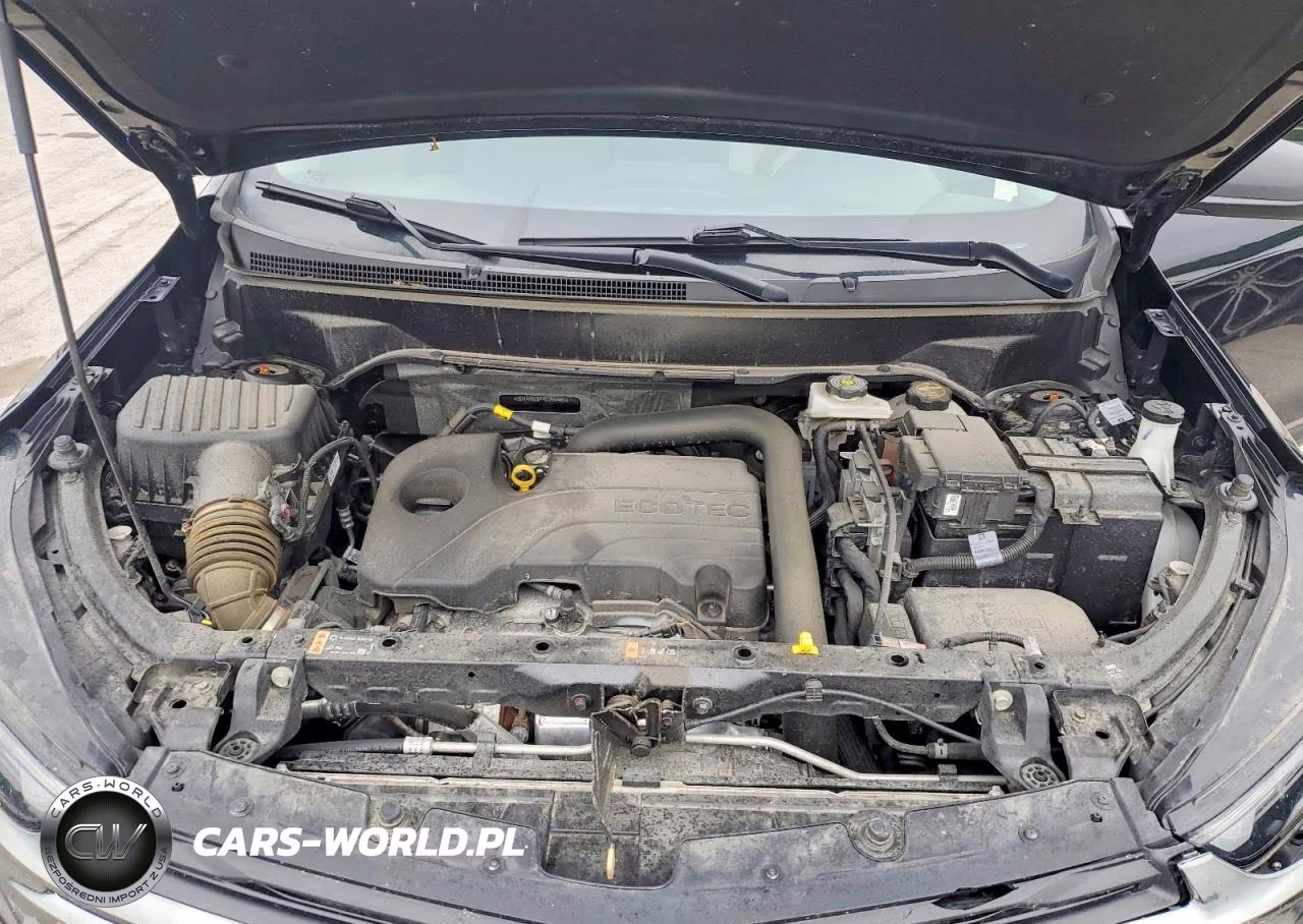 2024 Chevrolet Equinox Ls VIN:3GNAXSEG4RL255484 - 12