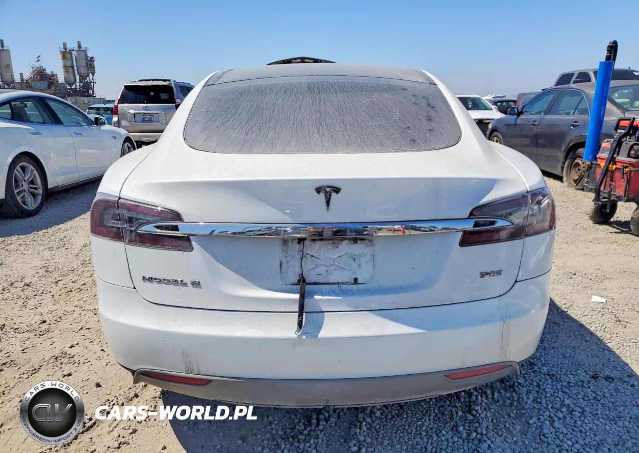2013 Tesla Model S Performance VIN:5YJSA1CP6DFP21175 - 6