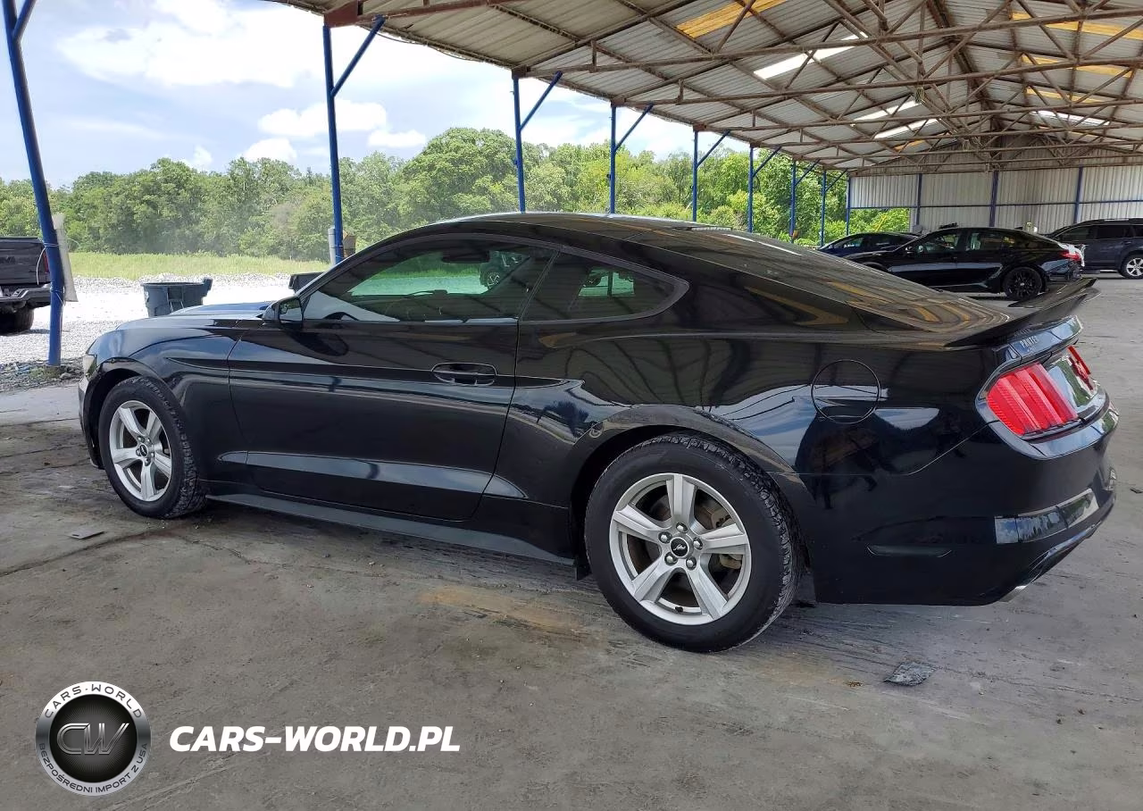 2016 Ford Mustang VIN:1FA6P8AM1G5292301 - 2