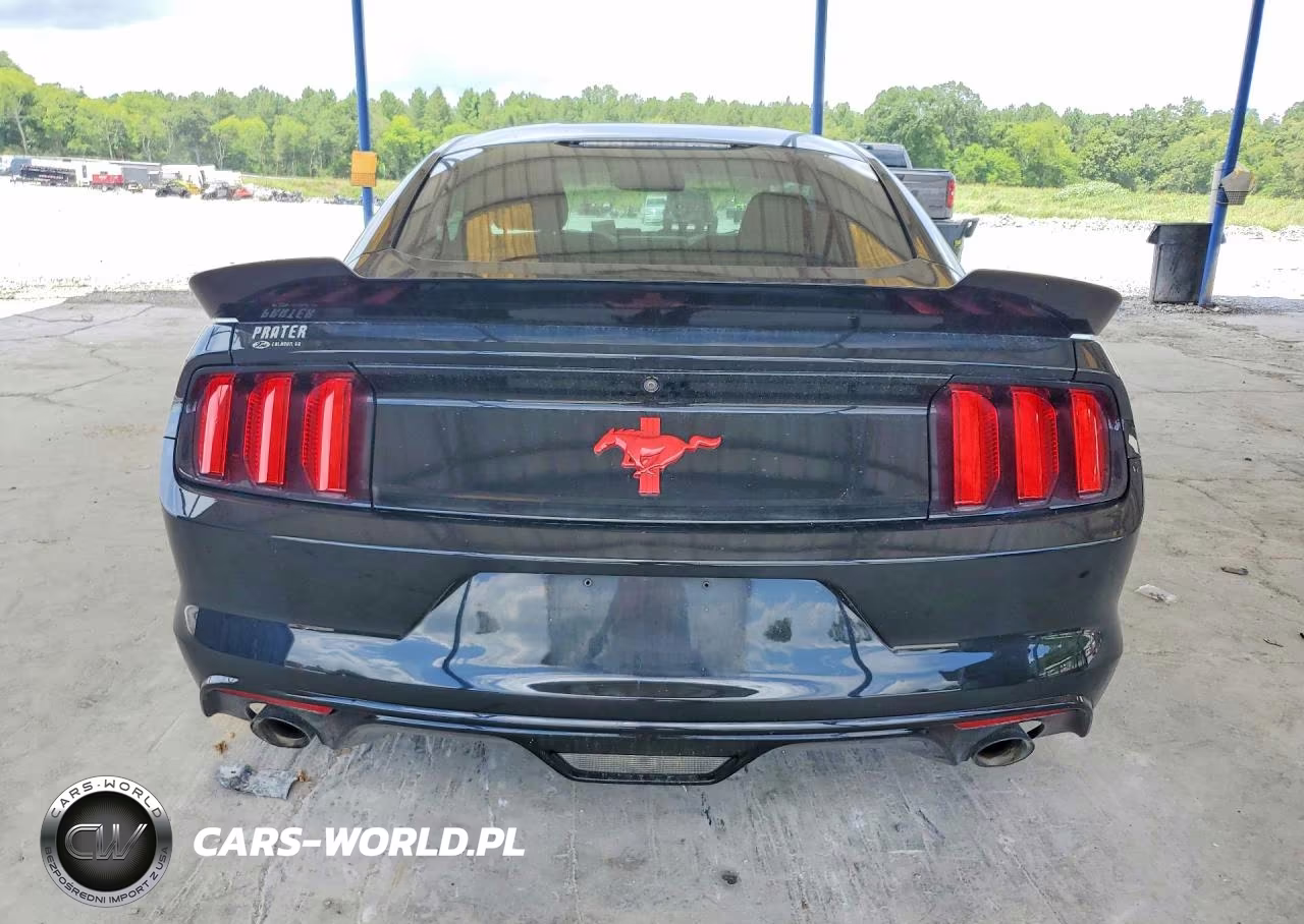 2016 Ford Mustang VIN:1FA6P8AM1G5292301 - 6
