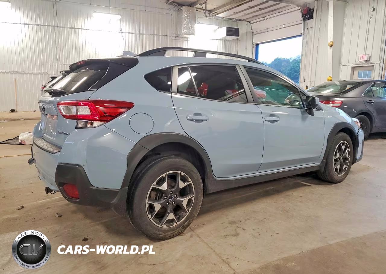 2019 Subaru Crosstrek Premium VIN:JF2GTADC4K8229996 - 3