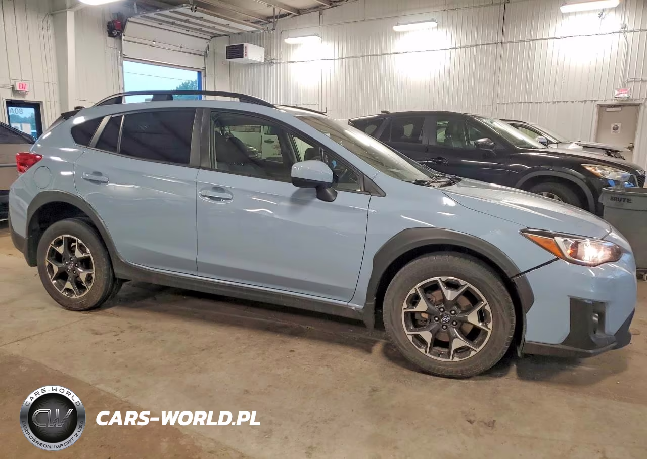 2019 Subaru Crosstrek Premium VIN:JF2GTADC4K8229996 - 4