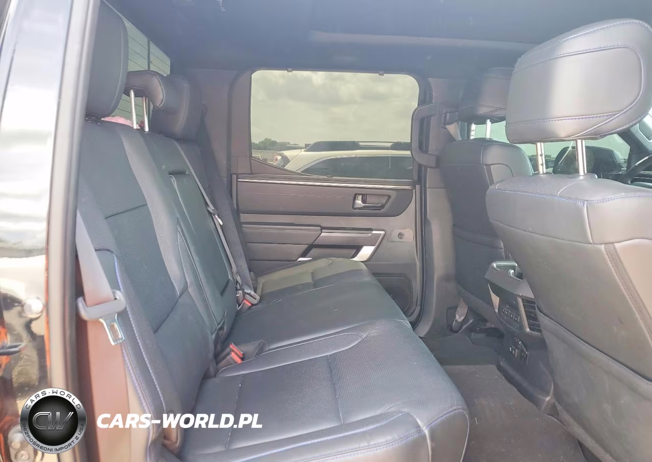 2022 Toyota Tundra Platinum VIN:5TFNA5DB8NX038652 - 10