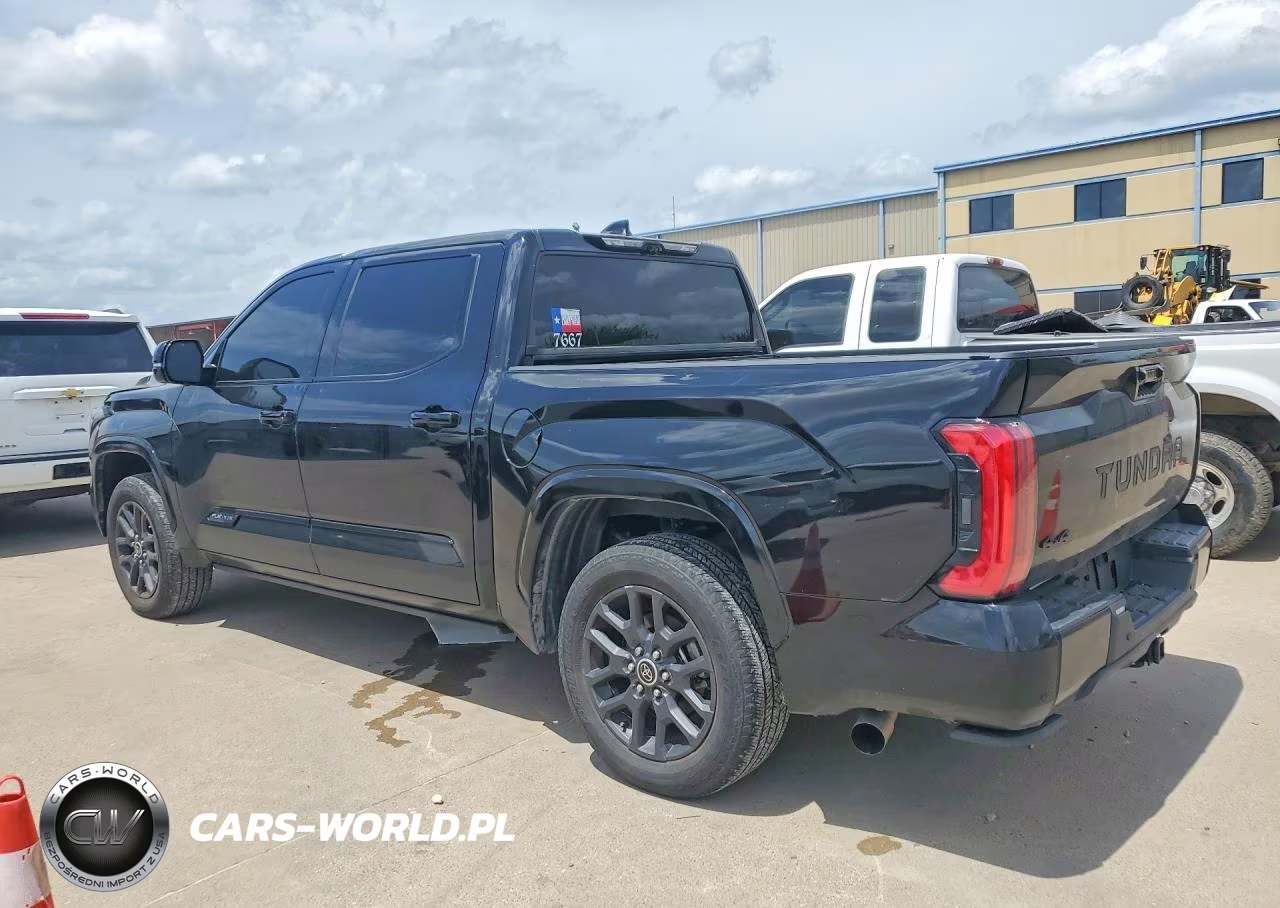 2022 Toyota Tundra Platinum VIN:5TFNA5DB8NX038652 - 2