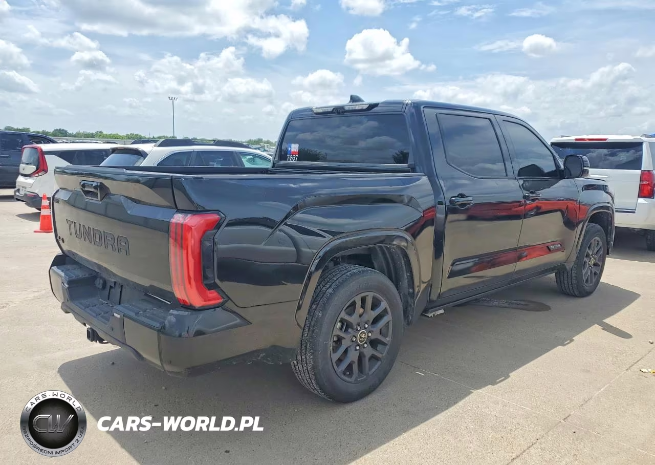 2022 Toyota Tundra Platinum VIN:5TFNA5DB8NX038652 - 3