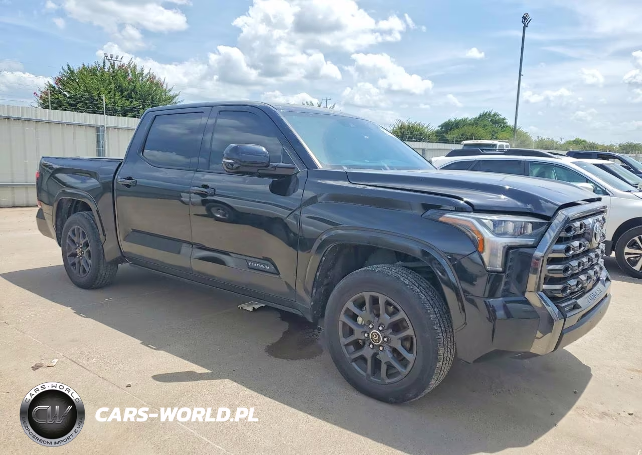 2022 Toyota Tundra Platinum VIN:5TFNA5DB8NX038652 - 4