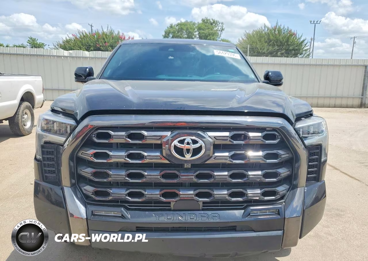 2022 Toyota Tundra Platinum VIN:5TFNA5DB8NX038652 - 5