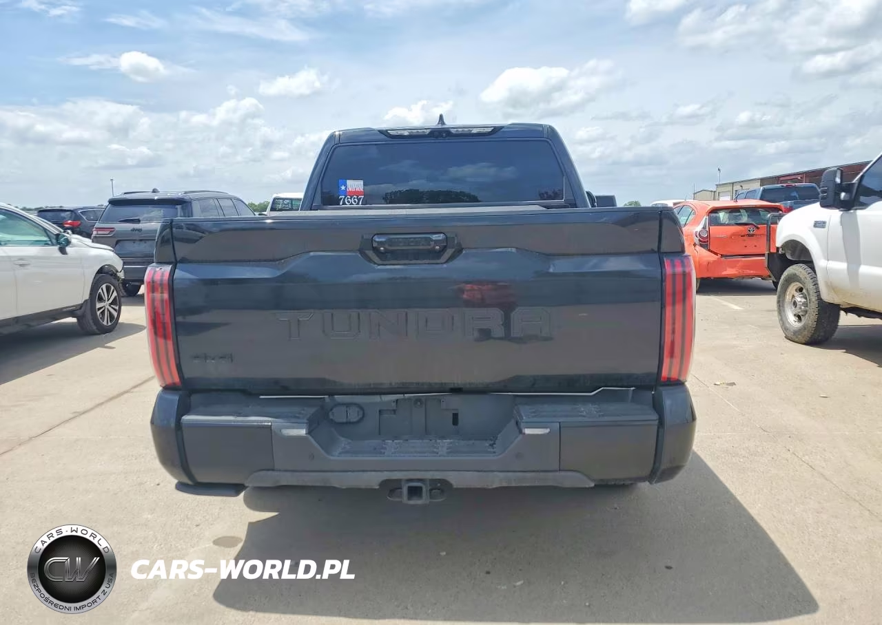 2022 Toyota Tundra Platinum VIN:5TFNA5DB8NX038652 - 6