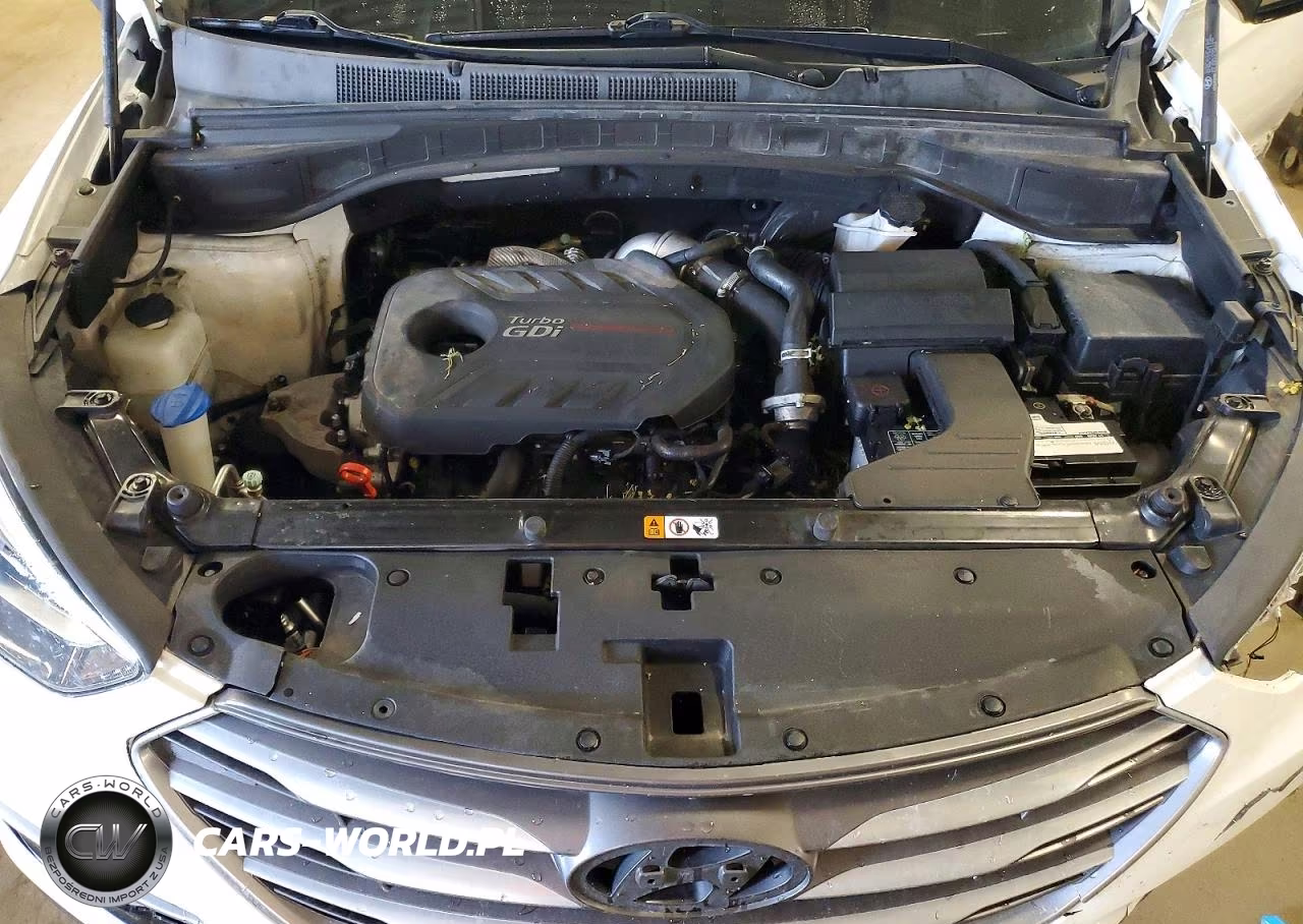 2018 Hyundai Santa Fe Sport 2.0T VIN:5XYZUDLA2JG550156 - 12