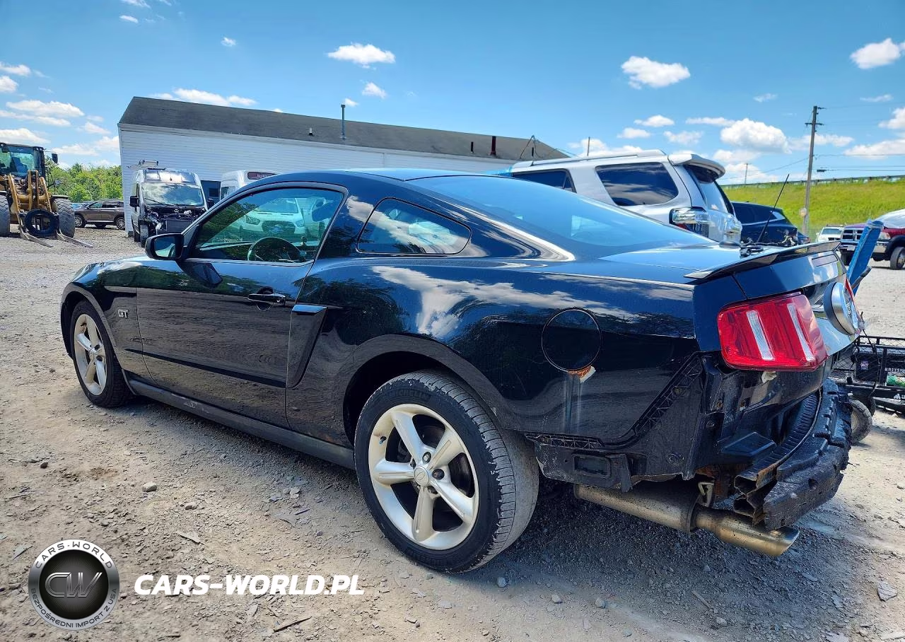 2010 Ford Mustang Gt VIN:1ZVBP8CH2A5181253 - 2