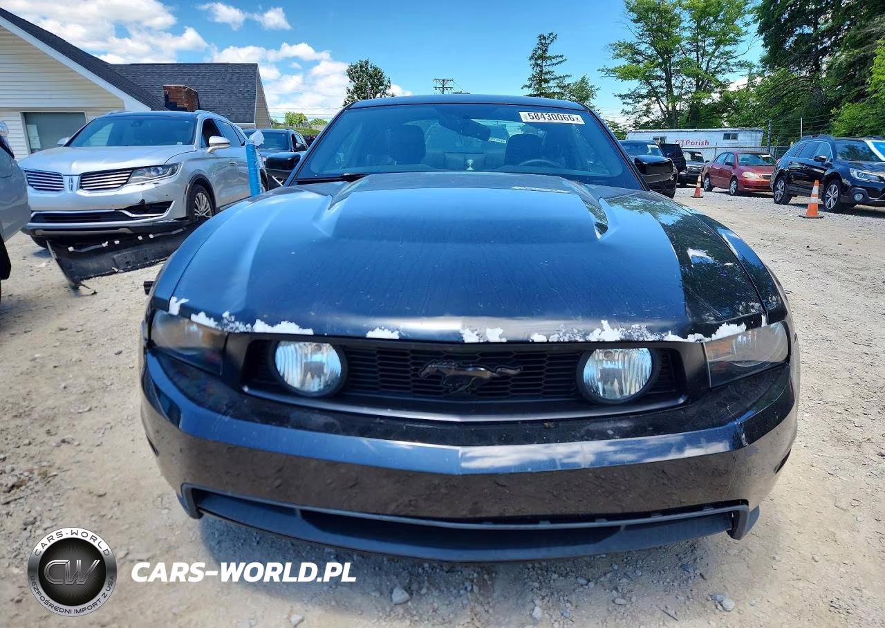 2010 Ford Mustang Gt VIN:1ZVBP8CH2A5181253 - 5