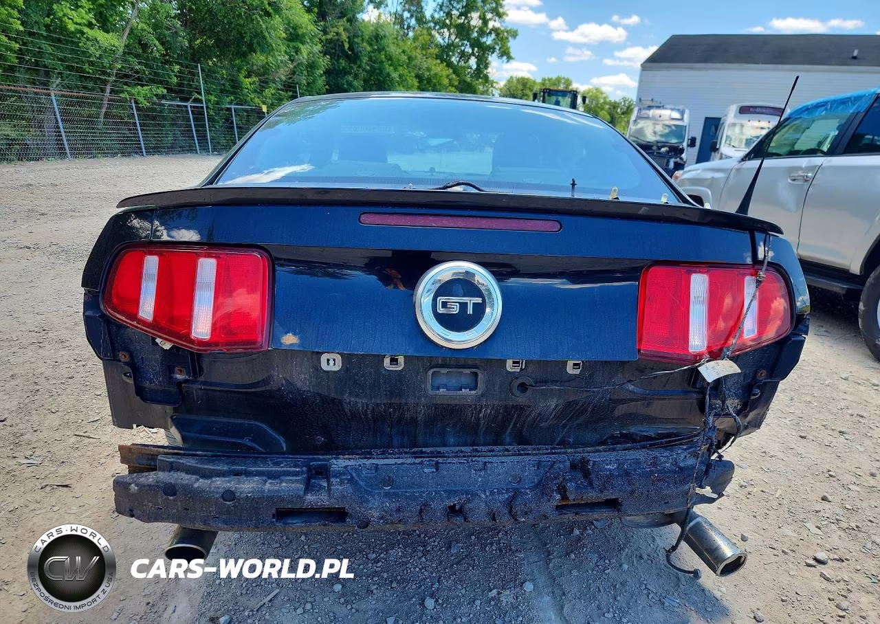 2010 Ford Mustang Gt VIN:1ZVBP8CH2A5181253 - 6
