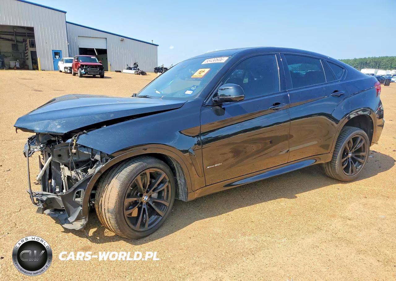 2018 BMW X6 xDrive50I VIN:5UXKU6C53J0Z66642 - 1