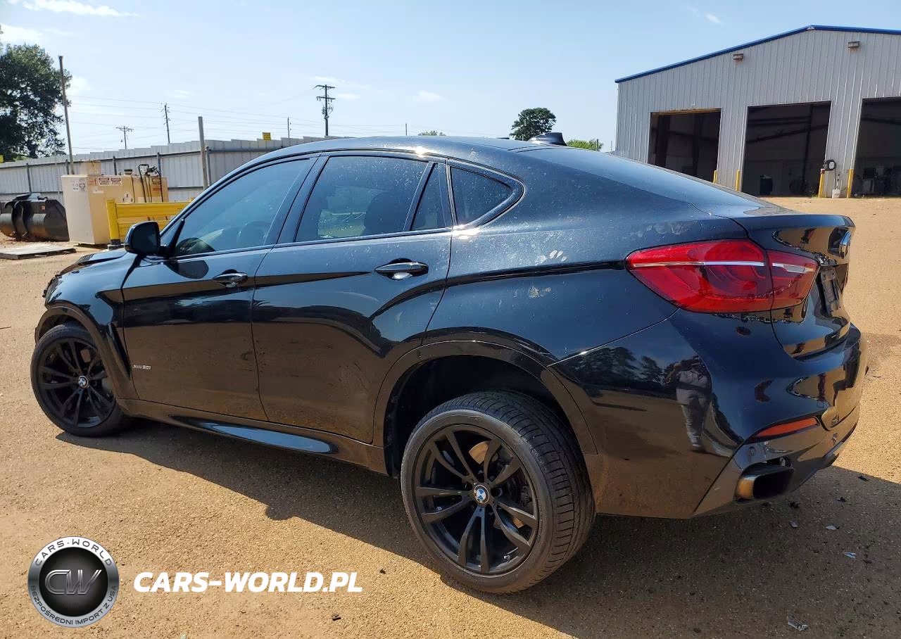 2018 BMW X6 xDrive50I VIN:5UXKU6C53J0Z66642 - 2