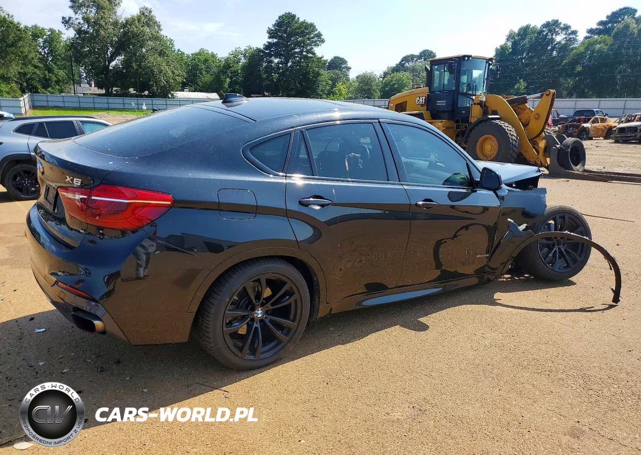 2018 BMW X6 xDrive50I VIN:5UXKU6C53J0Z66642 - 3