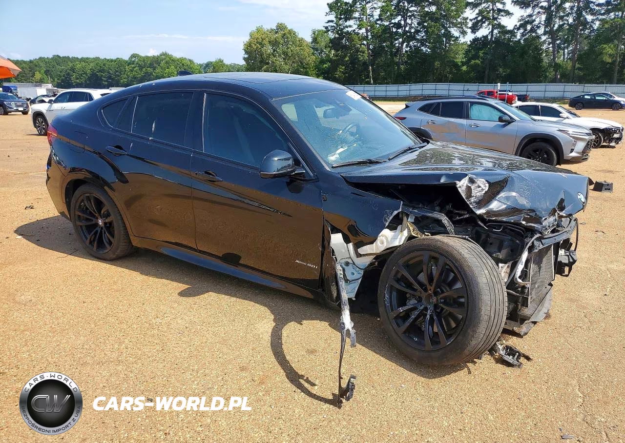 2018 BMW X6 xDrive50I VIN:5UXKU6C53J0Z66642 - 4