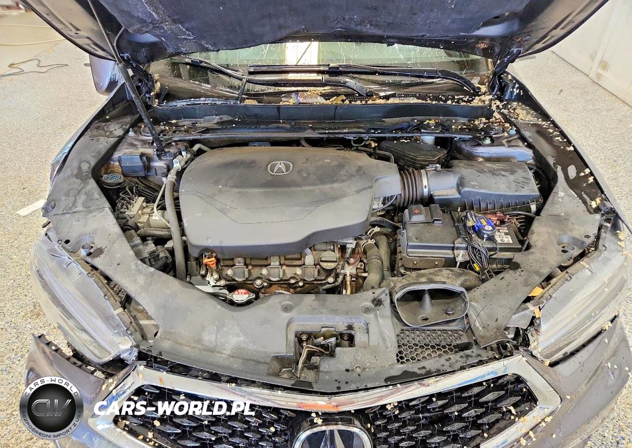 2019 Acura Tlx Advance VIN:19UUB3F81KA001148 - 11