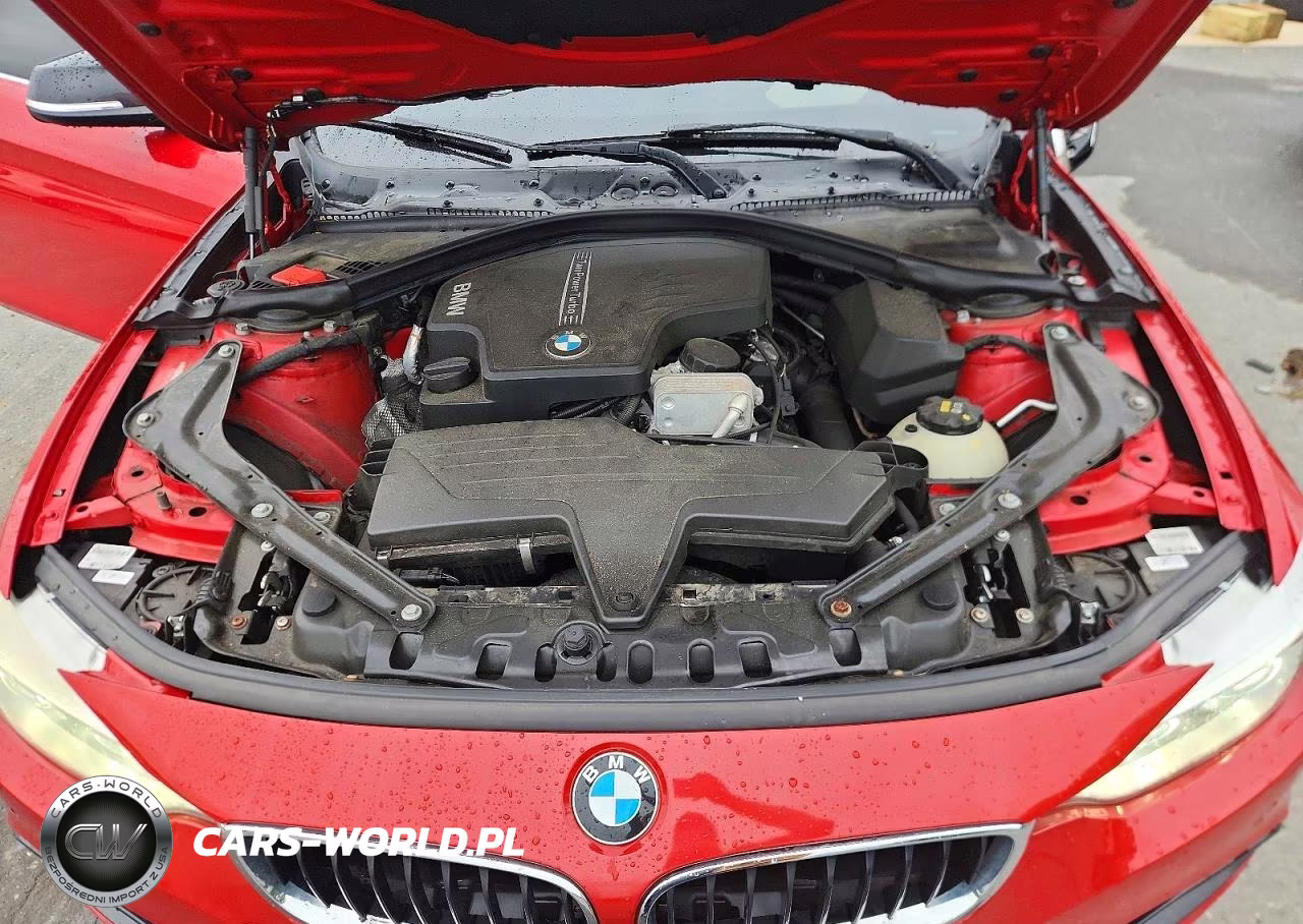 2015 BMW 428 Xi Sulev VIN:WBA3T1C56FP819741 - 11